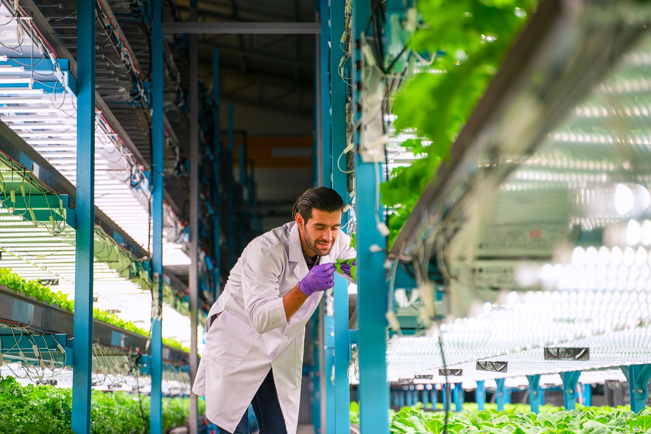 Scientist working in a greenhouse environment