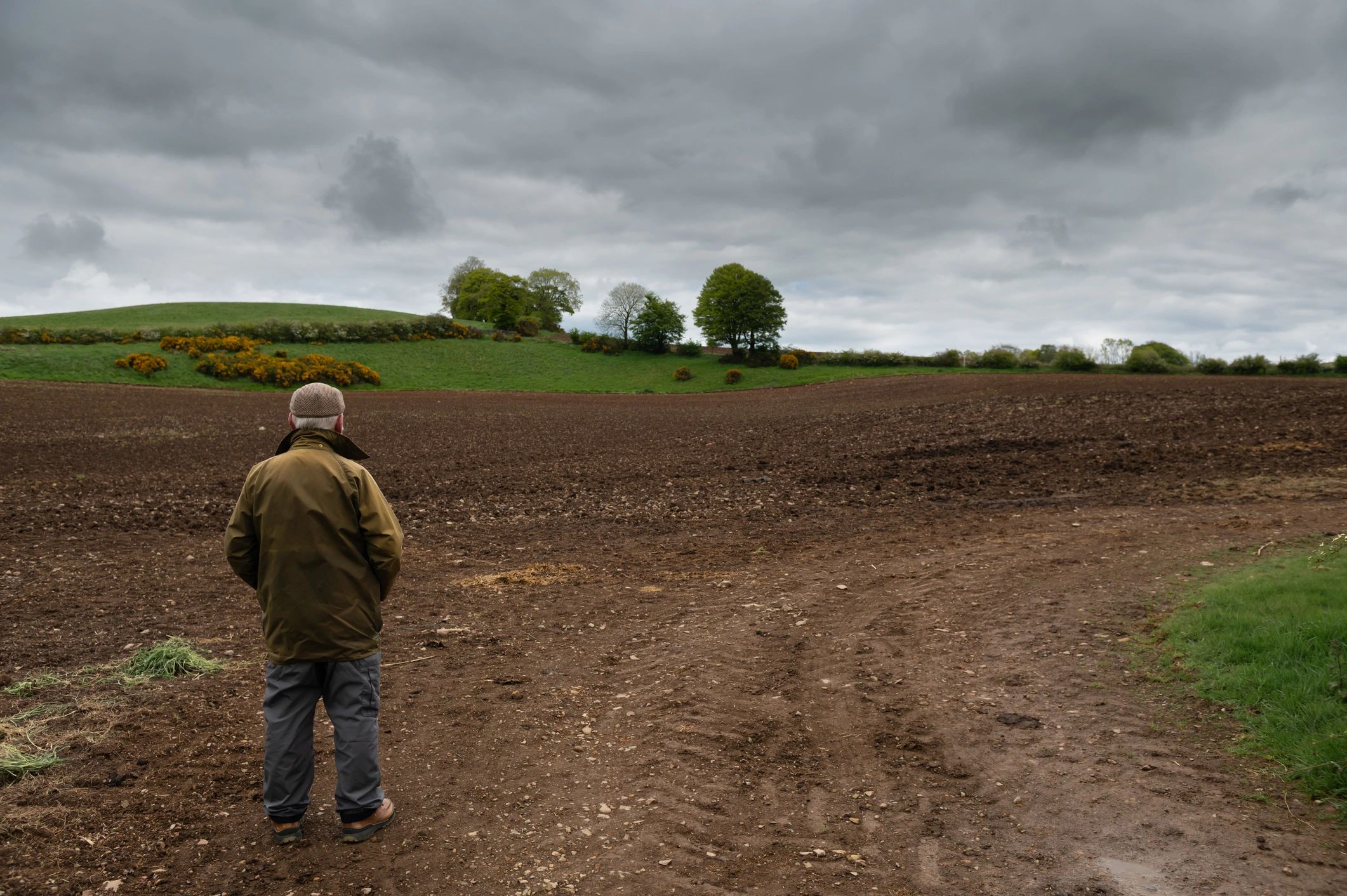 Professional standing in an open field during environmental site review