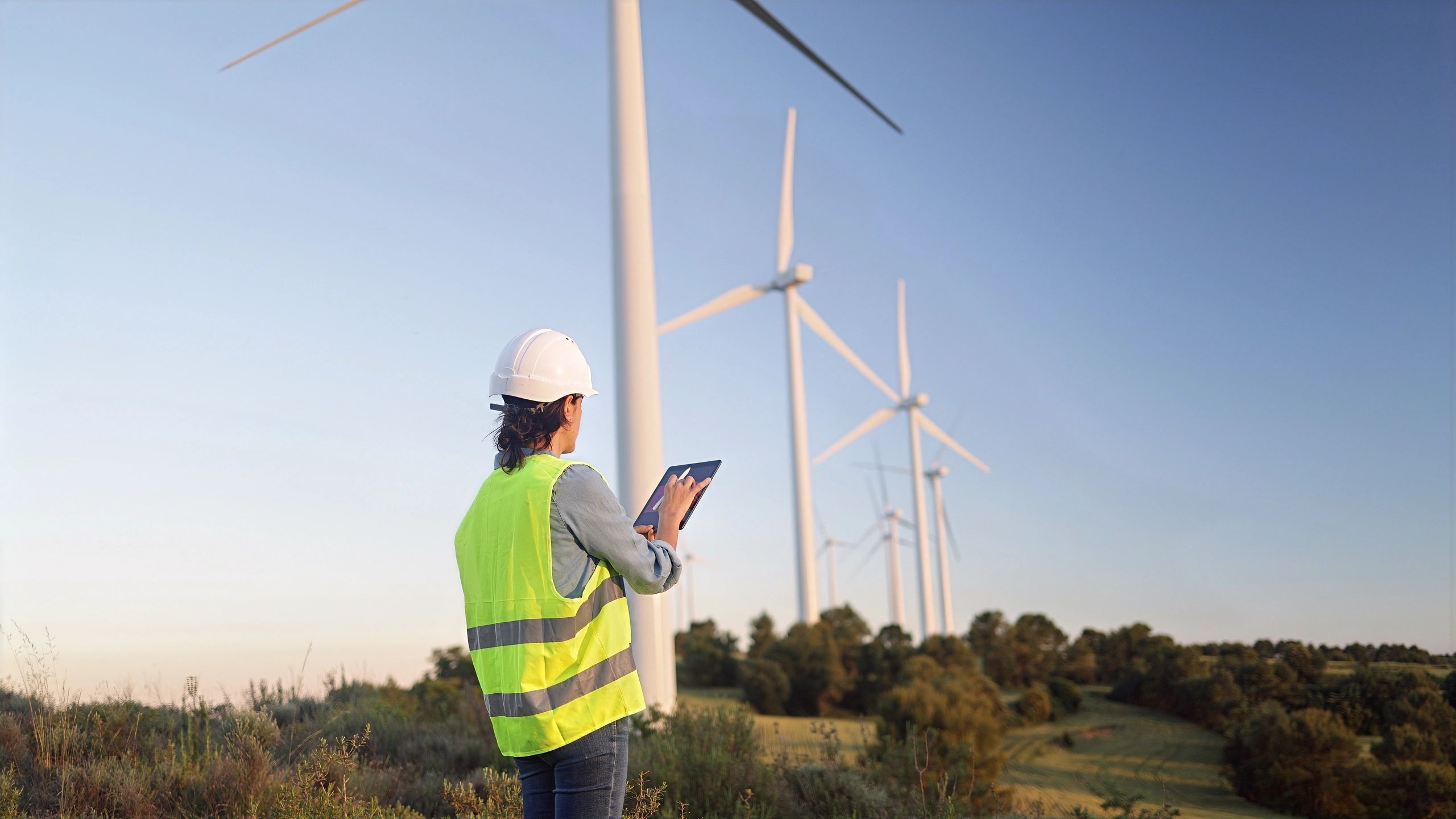 Environmental engineer reviewing conditions at a wind energy site